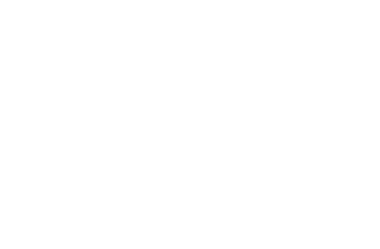DSM Group